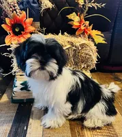 processed/1d737350-5983-42a3-9073-63e2f7838522/facility/b065c23d-6762-4a76-918a-9f37fb8179f7