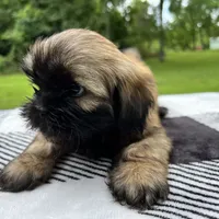 processed/1d737350-5983-42a3-9073-63e2f7838522/facility/b838645f-ae39-4e7c-a549-1741e989dd3b