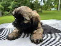 processed/1d737350-5983-42a3-9073-63e2f7838522/facility/b838645f-ae39-4e7c-a549-1741e989dd3b