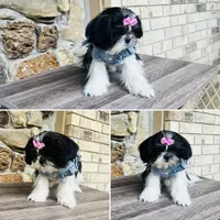 processed/1d737350-5983-42a3-9073-63e2f7838522/facility/e13eda16-ba6b-413b-aa7c-42435b3fb1c5