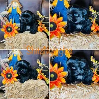 processed/1d737350-5983-42a3-9073-63e2f7838522/facility/e5444fb9-c611-48c1-a50d-cf1644dae8ad