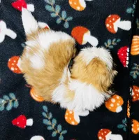 Mr Handsome , a male Shih Tzu for sale in Leslie, AR – 3 of 3