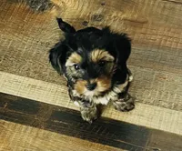 processed/1d737350-5983-42a3-9073-63e2f7838522/listing/fa99169a-4587-4188-96ac-9dca14a482b4/96062a7c-f1f7-44a3-b10b-44af8eb4a88d