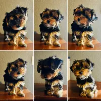 processed/1d737350-5983-42a3-9073-63e2f7838522/listing/fa99169a-4587-4188-96ac-9dca14a482b4/a90b4cea-9aa2-4104-a956-86da9e5c78b4