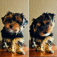 processed/1d737350-5983-42a3-9073-63e2f7838522/listing/fa99169a-4587-4188-96ac-9dca14a482b4/e2994a4b-8c15-4324-b266-127e75fc9b30