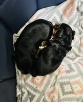 processed/1d737350-5983-42a3-9073-63e2f7838522/listing/fa99169a-4587-4188-96ac-9dca14a482b4/f1983979-a68b-4696-9e0e-739c22dd36a8