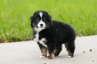 processed/1d755727-b559-49b8-8b91-40e4c0e270c6/listing/3e9639dd-4d9b-4cf3-91cc-edadff893ac0/0b7b6f61-78dc-4c7c-91d8-4c76dfd40907