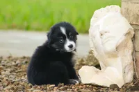 processed/1d755727-b559-49b8-8b91-40e4c0e270c6/listing/3e9639dd-4d9b-4cf3-91cc-edadff893ac0/33b95108-2d81-4c93-acfd-c307146f6636