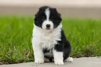 processed/1d755727-b559-49b8-8b91-40e4c0e270c6/listing/c8d90bf7-35f6-477f-9c00-028f865839c3/0e3e55b0-4a0a-4aaa-9f9a-1fde20ca98bc