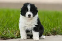 processed/1d755727-b559-49b8-8b91-40e4c0e270c6/listing/c8d90bf7-35f6-477f-9c00-028f865839c3/2d801a40-db55-4dca-9ec5-2bef3a0cded5