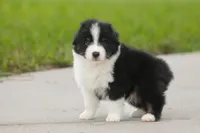 processed/1d755727-b559-49b8-8b91-40e4c0e270c6/listing/c8d90bf7-35f6-477f-9c00-028f865839c3/37e4f085-7917-452c-a1a5-823b5b7cbd67