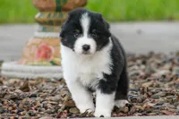 processed/1d755727-b559-49b8-8b91-40e4c0e270c6/listing/c8d90bf7-35f6-477f-9c00-028f865839c3/5ebe4893-355a-40f3-a0c9-ad0044b984e9