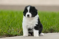 processed/1d755727-b559-49b8-8b91-40e4c0e270c6/listing/c8d90bf7-35f6-477f-9c00-028f865839c3/8183ce8c-ee0d-4132-ba02-ef6512e1ca1f