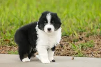 processed/1d755727-b559-49b8-8b91-40e4c0e270c6/listing/c8d90bf7-35f6-477f-9c00-028f865839c3/934e8c26-065c-4a2d-b696-f8466f25d105