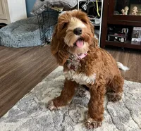 processed/1d793967-86a0-41b4-9dca-5c1e247c91fd/facility/05688fb8-b3e2-438e-aaca-e3f9f0735372