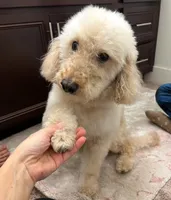 processed/1d793967-86a0-41b4-9dca-5c1e247c91fd/facility/233467ae-1d86-4d7a-b183-536b189624af