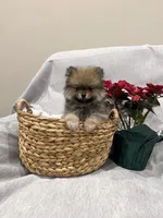 processed/1da12099-0148-4630-9be6-aa0faff6ce2e/listing/424b5f7a-527c-4925-a159-412ce67f61a9/0072fd5a-69b2-4b7b-b938-631c828ca74c