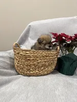 processed/1da12099-0148-4630-9be6-aa0faff6ce2e/listing/424b5f7a-527c-4925-a159-412ce67f61a9/5fdf2380-3f39-4af7-b3a0-29d38d16b6b7