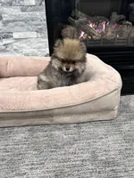 processed/1da12099-0148-4630-9be6-aa0faff6ce2e/listing/424b5f7a-527c-4925-a159-412ce67f61a9/8f50344b-f0df-4d11-b847-7b257603d4be