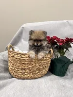 processed/1da12099-0148-4630-9be6-aa0faff6ce2e/listing/424b5f7a-527c-4925-a159-412ce67f61a9/a637d135-3b8b-4603-9bc7-87a4089e3e04