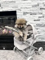 processed/1da12099-0148-4630-9be6-aa0faff6ce2e/listing/424b5f7a-527c-4925-a159-412ce67f61a9/ade07b36-28f1-4770-b401-ab6539426c18