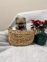 processed/1da12099-0148-4630-9be6-aa0faff6ce2e/listing/424b5f7a-527c-4925-a159-412ce67f61a9/b32a30b3-9783-48ac-887d-ead6fd2a2e2f