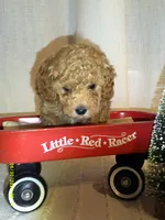 processed/1da1d7a6-eaed-4523-b168-602a1bb0d9c4/listing/a3162b0c-95bb-4a8a-b5c1-a8e2330473e6/1e34b39b-93c9-4862-a83e-516a0d8a16b2