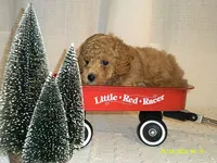 processed/1da1d7a6-eaed-4523-b168-602a1bb0d9c4/listing/a3162b0c-95bb-4a8a-b5c1-a8e2330473e6/4f4ad64a-a9c5-4797-8840-d5c05e6c6ae3