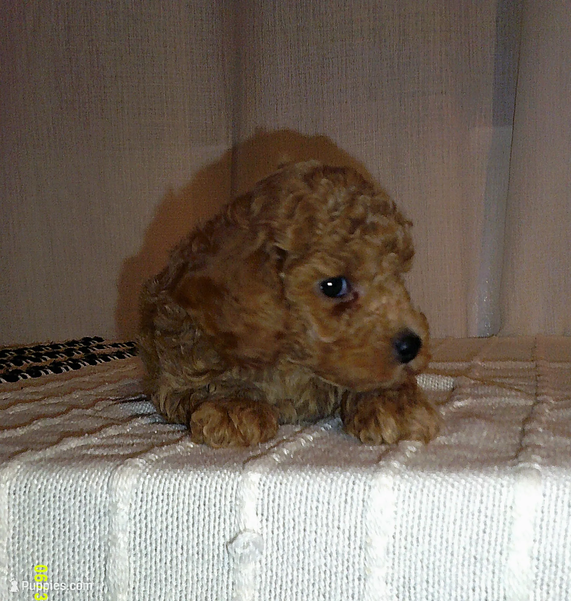 processed/1da1d7a6-eaed-4523-b168-602a1bb0d9c4/listing/a3162b0c-95bb-4a8a-b5c1-a8e2330473e6/5f96aef2-5ad7-4c71-ab5d-c8194c9bfa9e