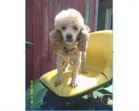 processed/1da1d7a6-eaed-4523-b168-602a1bb0d9c4/listing/a3162b0c-95bb-4a8a-b5c1-a8e2330473e6/77ad0185-a2a3-4d79-b9e6-dae3016f0d72