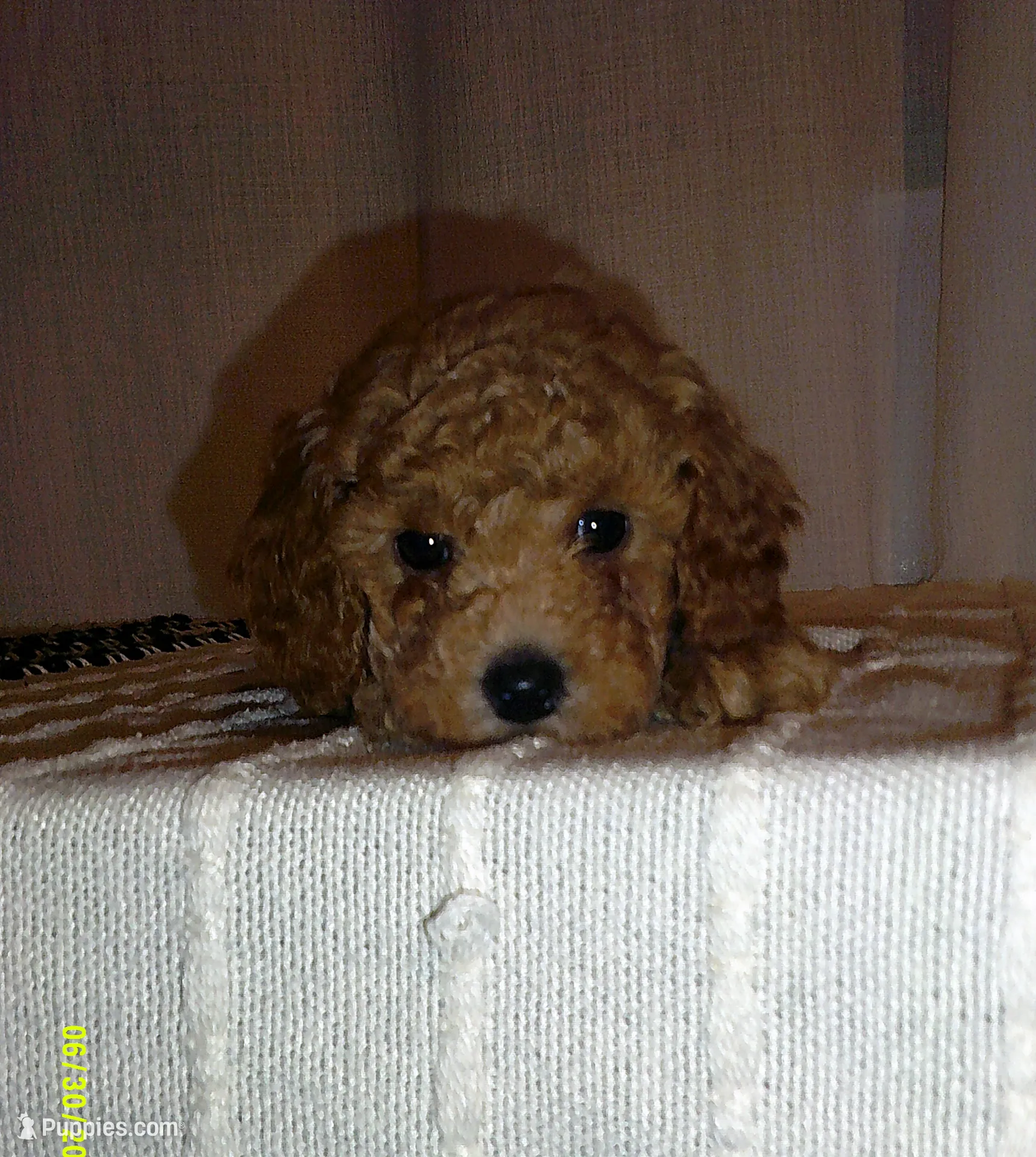 processed/1da1d7a6-eaed-4523-b168-602a1bb0d9c4/listing/a3162b0c-95bb-4a8a-b5c1-a8e2330473e6/c848f56f-c721-40e1-8c7e-9859e17a44c2