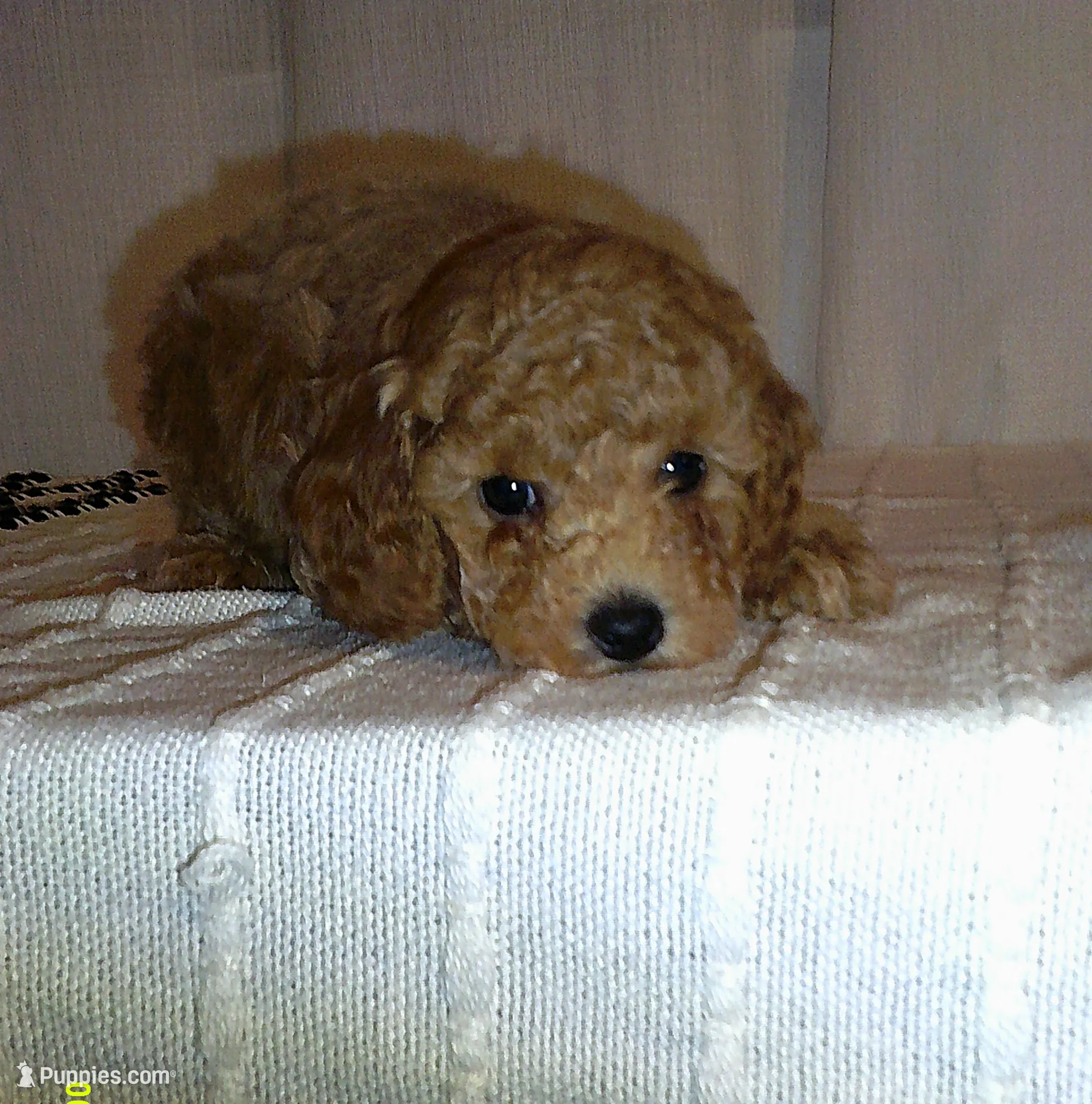 processed/1da1d7a6-eaed-4523-b168-602a1bb0d9c4/listing/a3162b0c-95bb-4a8a-b5c1-a8e2330473e6/f5671eca-b31a-4191-a464-59d7fc68a28f