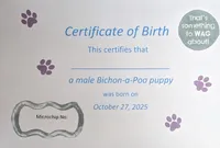 processed/1da4d162-1d91-403c-9c31-646e0d59e032/listing/033e8a3d-b030-469d-baef-1a75a9e61c72/120633e3-47eb-4678-bfa3-279400ea2586