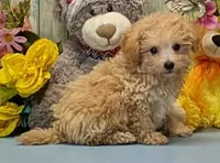 processed/1da4d162-1d91-403c-9c31-646e0d59e032/listing/033e8a3d-b030-469d-baef-1a75a9e61c72/33fdfa09-063c-456b-8de3-e2beb489e943