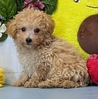 processed/1da4d162-1d91-403c-9c31-646e0d59e032/listing/033e8a3d-b030-469d-baef-1a75a9e61c72/5e969397-9f59-4625-a8d3-20199a74e685