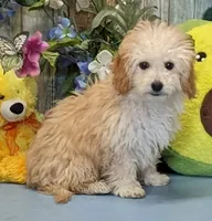 processed/1da4d162-1d91-403c-9c31-646e0d59e032/listing/14280d1a-919f-4a9c-b105-a7a7e261bf72/231b0df2-5699-428a-9b06-9229acdc1621