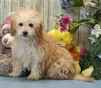 processed/1da4d162-1d91-403c-9c31-646e0d59e032/listing/14280d1a-919f-4a9c-b105-a7a7e261bf72/69d0b7c6-b787-4b5c-9ecd-3ef947aba60f