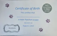 processed/1da4d162-1d91-403c-9c31-646e0d59e032/listing/14280d1a-919f-4a9c-b105-a7a7e261bf72/9e0abe2d-6d62-4599-8ec8-8682d8c51a85