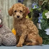 processed/1da4d162-1d91-403c-9c31-646e0d59e032/listing/2cac2321-107d-4c6e-8178-db540189e314/4f2b46e5-ccf0-4033-a9b1-3e945009a28b