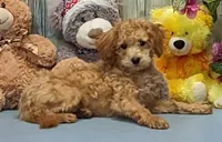 processed/1da4d162-1d91-403c-9c31-646e0d59e032/listing/2cac2321-107d-4c6e-8178-db540189e314/a8700a86-23df-40b6-99c2-087e62527f38