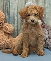 processed/1da4d162-1d91-403c-9c31-646e0d59e032/listing/2cac2321-107d-4c6e-8178-db540189e314/c0fb25a5-b42a-4f2f-ae91-9d01cdcee948