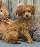 processed/1da4d162-1d91-403c-9c31-646e0d59e032/listing/2cac2321-107d-4c6e-8178-db540189e314/e519b72f-bf78-4026-a14e-2100916bf9a2