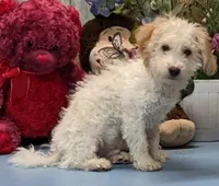 processed/1da4d162-1d91-403c-9c31-646e0d59e032/listing/3a34412b-a6ef-4cb0-a19e-64ca330a2953/4db2eaba-9073-4130-8714-ce8555434150