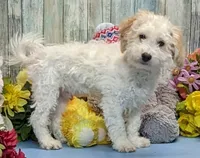 processed/1da4d162-1d91-403c-9c31-646e0d59e032/listing/3a34412b-a6ef-4cb0-a19e-64ca330a2953/9927c7e6-5968-466d-908f-3498778bfe5f