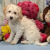 processed/1da4d162-1d91-403c-9c31-646e0d59e032/listing/3a34412b-a6ef-4cb0-a19e-64ca330a2953/c8942653-3318-49ad-9650-679bfe569274