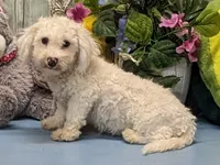 processed/1da4d162-1d91-403c-9c31-646e0d59e032/listing/4983be00-4383-407e-81b8-ffa8118cba52/6bbf4805-a066-4fa2-9ed1-81ed7a729f66