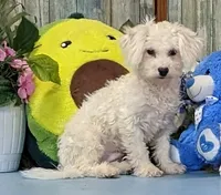 processed/1da4d162-1d91-403c-9c31-646e0d59e032/listing/4e98ab37-8edd-4937-8138-79ddcaa5e471/74f0e87e-c8f3-4c89-8a77-96e89661f232