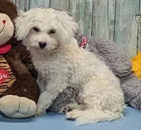 processed/1da4d162-1d91-403c-9c31-646e0d59e032/listing/4e98ab37-8edd-4937-8138-79ddcaa5e471/c6dadc4c-b942-40a3-93f1-c661294aacec