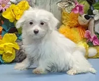 processed/1da4d162-1d91-403c-9c31-646e0d59e032/listing/587f830f-7c55-457a-8271-c56bd7333256/84380dea-b215-478a-b6d0-c8a05639a2c0