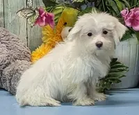 processed/1da4d162-1d91-403c-9c31-646e0d59e032/listing/587f830f-7c55-457a-8271-c56bd7333256/9c48e1c8-9635-4e4f-ba50-1dcd2e83109f